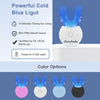 GlorySmile Teeth whitening kit